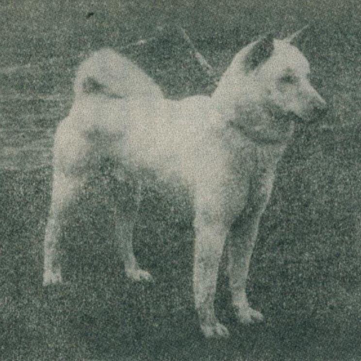 Dainiri go 弟二理号