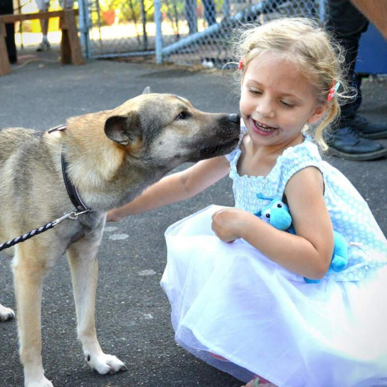 Oosaka no Sekihime go 大阪の赤姫号