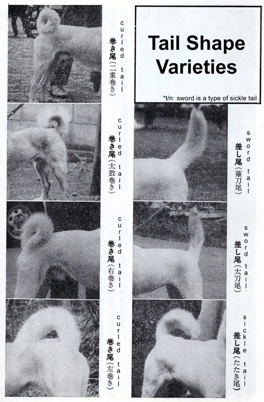 Tail Varieties